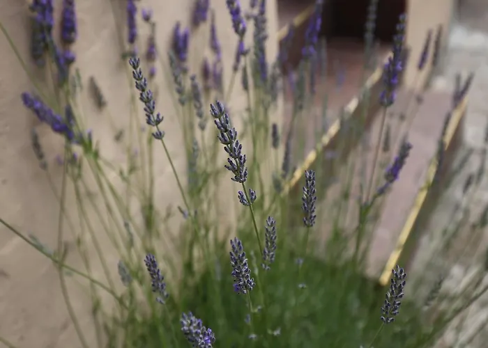 Miskovic - With Balcony And Sea View East Donje Celo